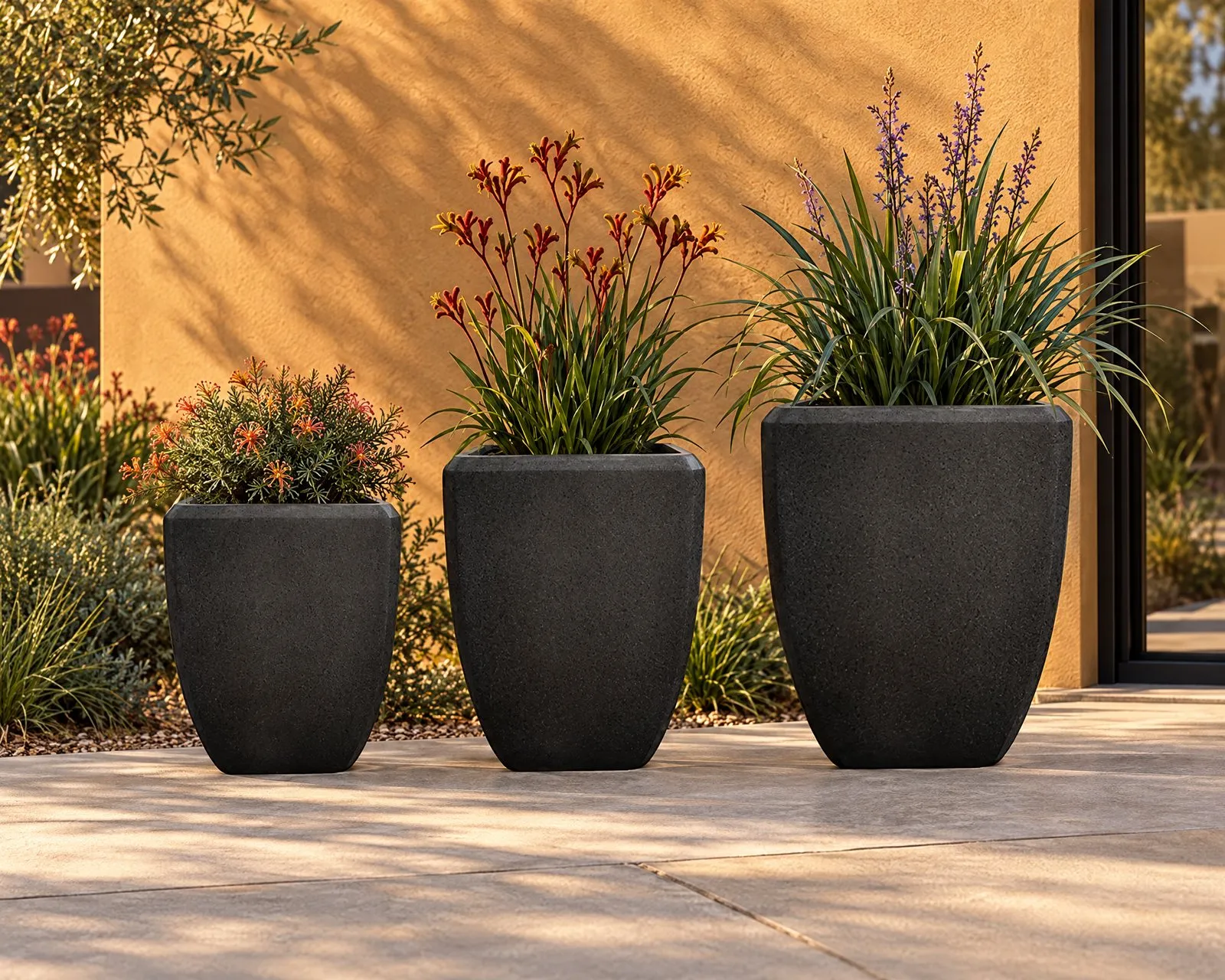 Everleigh pots in Onyx planted with kangaroo paw